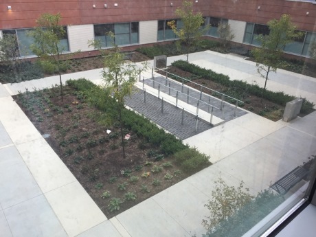 OUTDOOR SANCTUARY:  This is one of the courtyard/healing gardens at the hospital.  This one has heated concrete to reduce snow and ice buildup in the winter.  